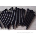Polished Common Iron Nails 2 Inch for Construction